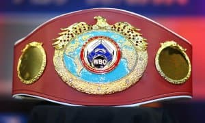 WBО рейтинги янгиланди. Ўзбек боксчилари ўринлари билан танишинг