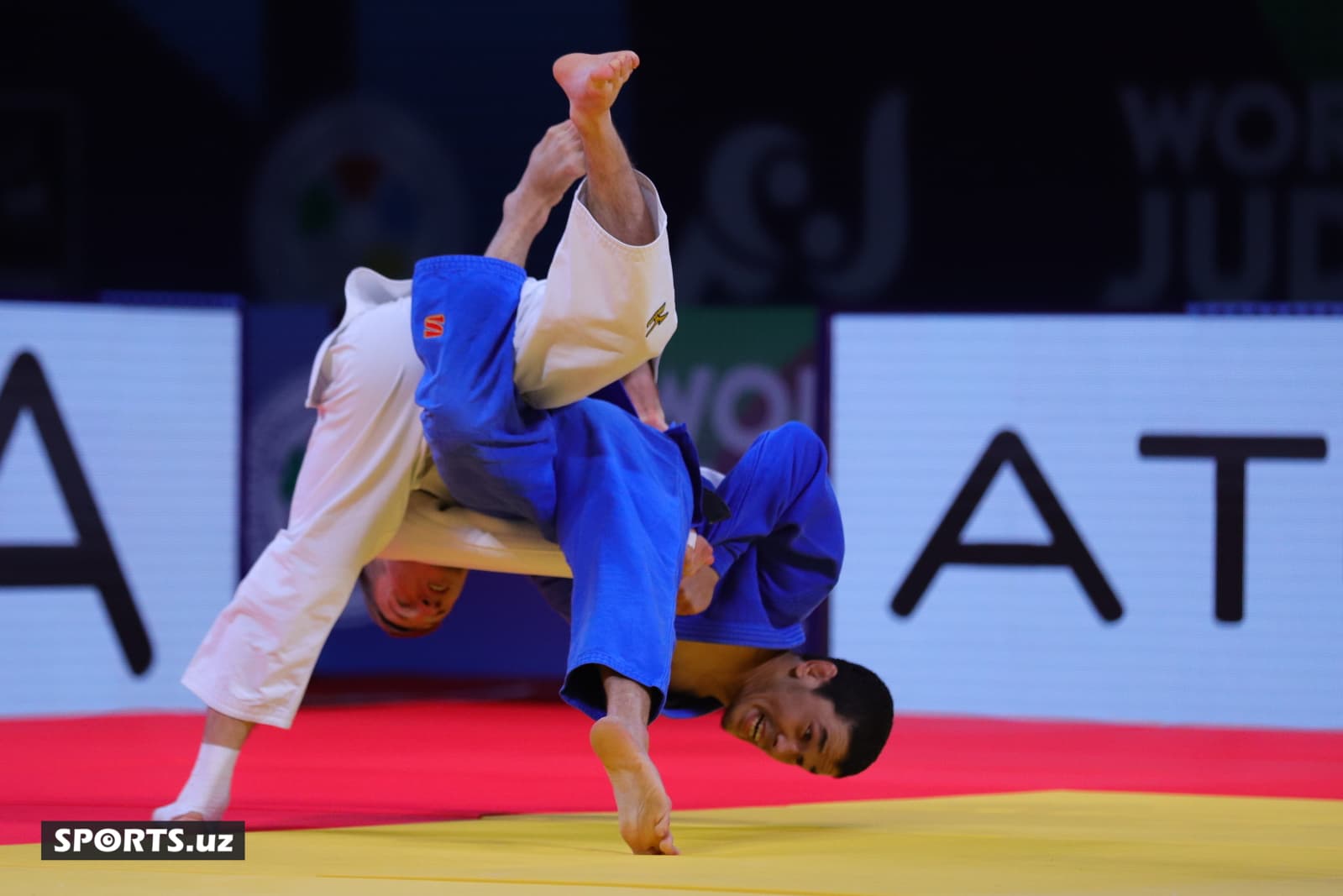 20221006081258_IMG_7918 (1)