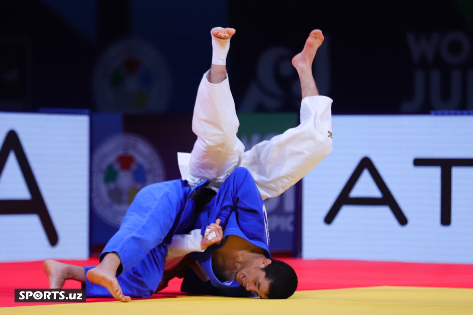 20221006081259_IMG_7920 (1)