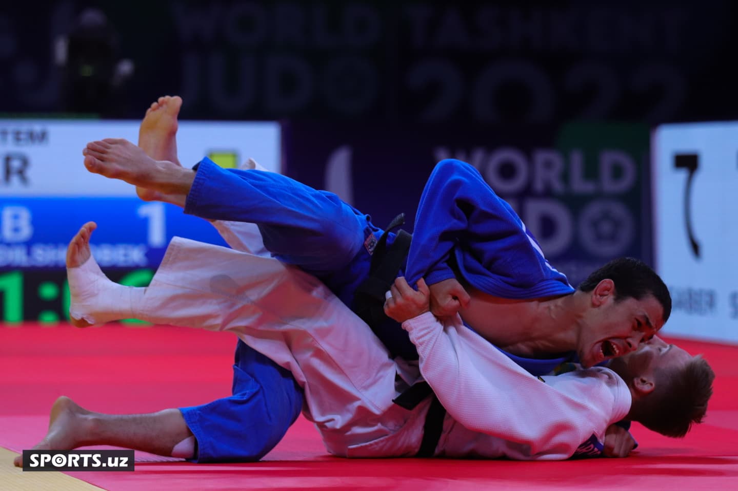 20221006081611_IMG_7968