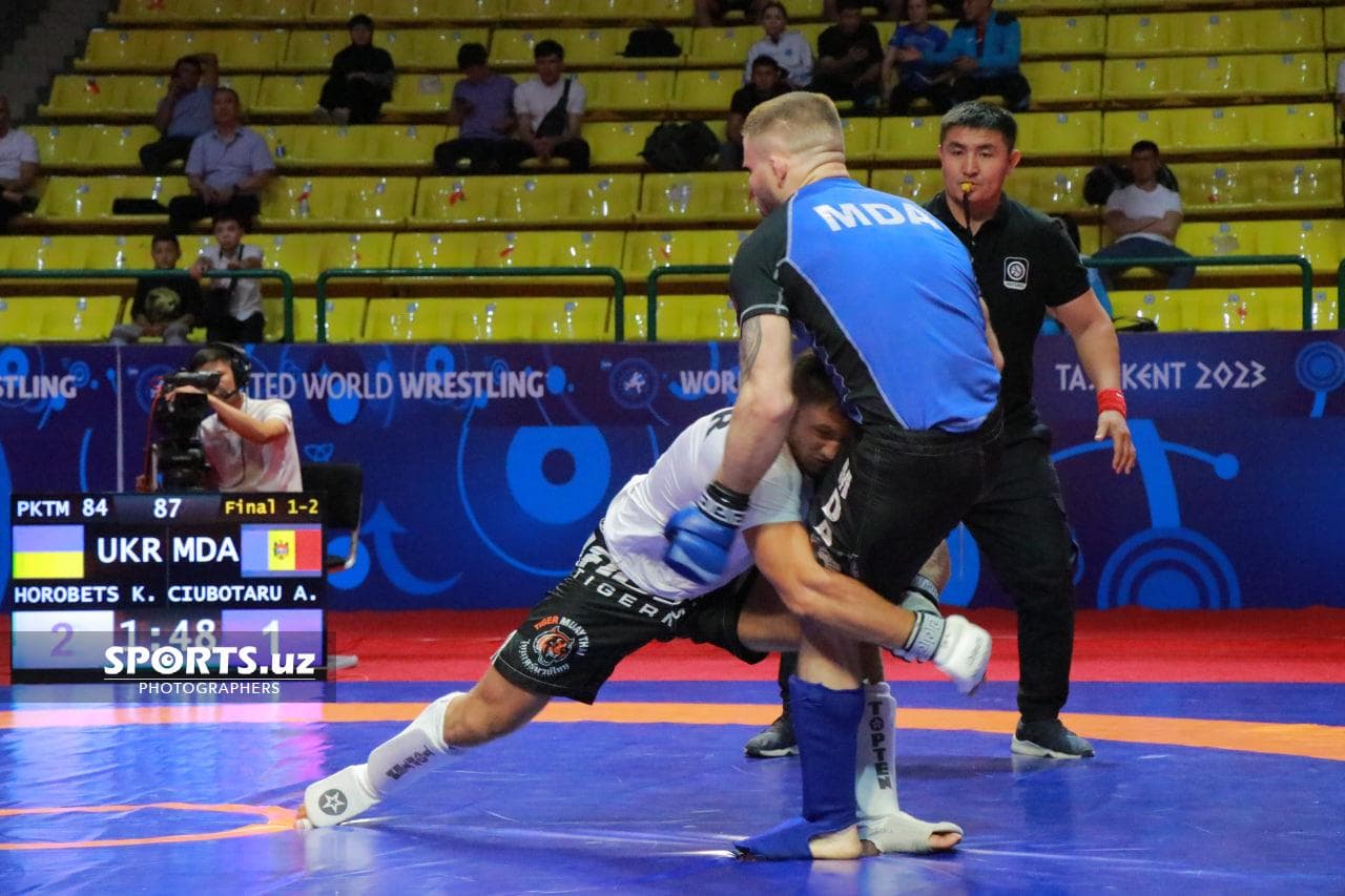 photo_2023-05-02_22-56-14